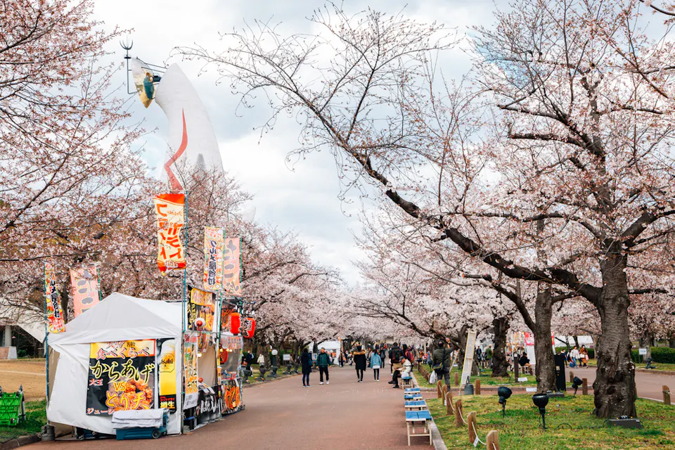 Street food stalls with cherry blossoms at Expo '70 Commemorative Park
