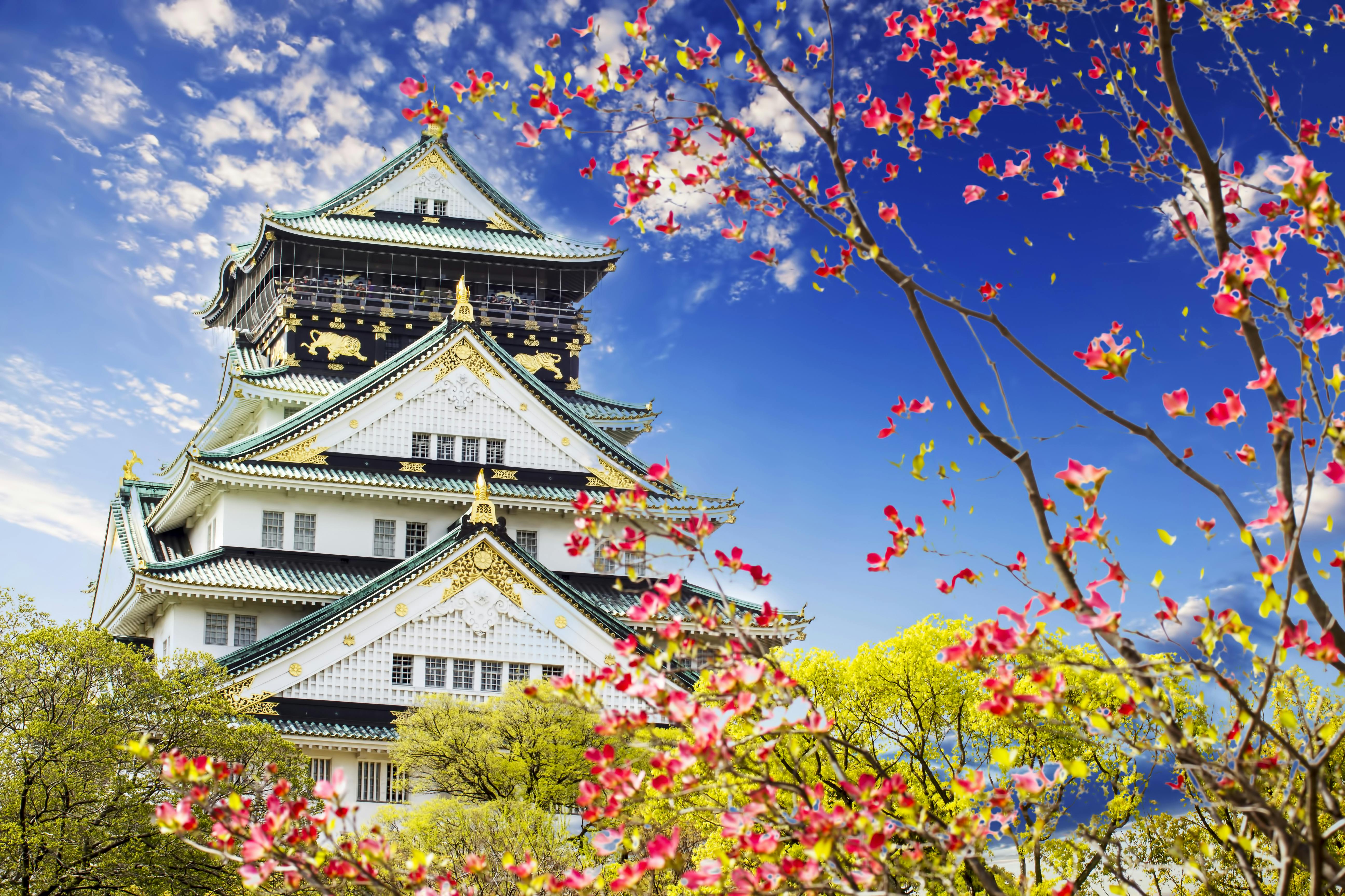 Osaka Castle in Japan, with ornate white walls and green roofs, stands against a blue sky. Pink cherry blossoms and green trees are in the foreground, adding vibrant color to the scene.
