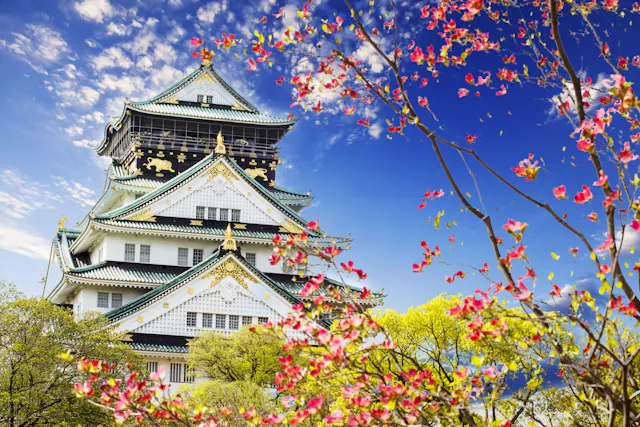 Osaka Castle in Japan, with ornate white walls and green roofs, stands against a blue sky. Pink cherry blossoms and green trees are in the foreground, adding vibrant color to the scene.