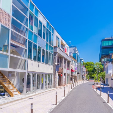 Cat Street Cat Street