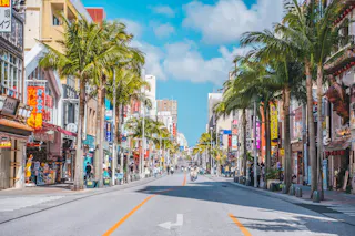 A sunny street in a Japanese city lined with palm trees, colorful signs, and shops. People walk on the sidewalks, and the sky is bright blue with scattered clouds.