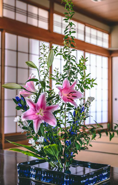 Ikebana Ikebana