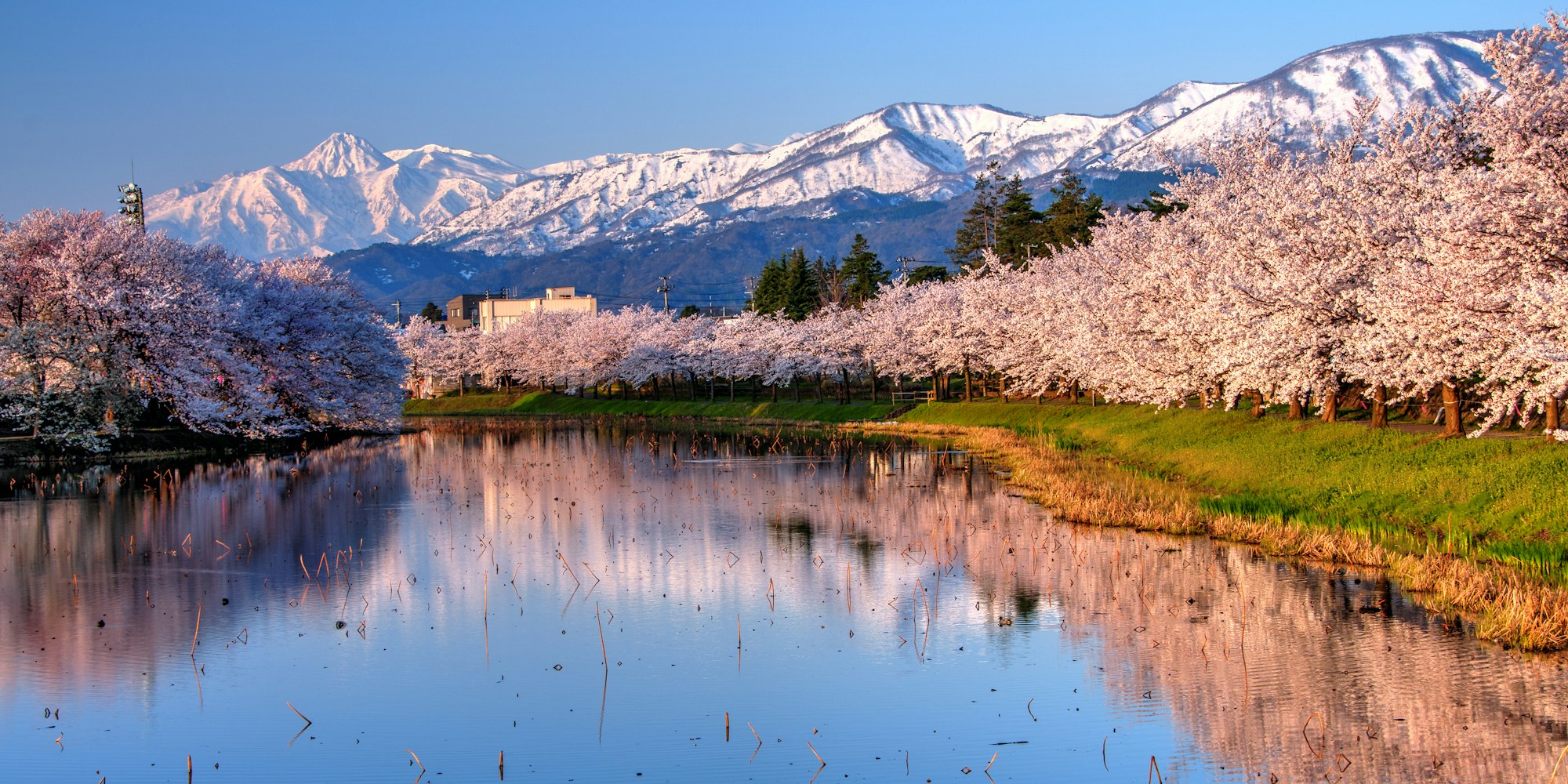 Niigata Niigata