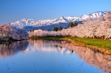 Niigata