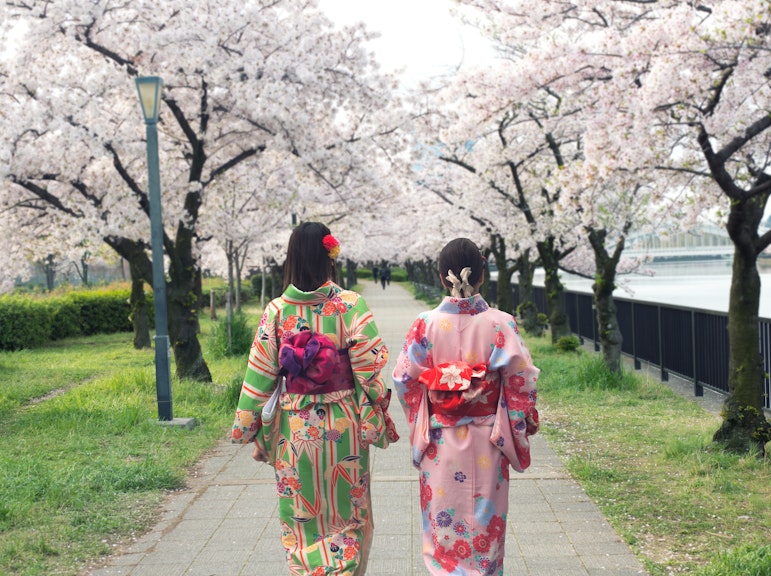 사진 작가 고용, 전문 사진 촬영 - 오사카