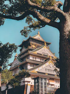 A traditional Japanese castle with white walls and green-tiled roofs, accented with gold details, framed by large tree branches under a clear blue sky.