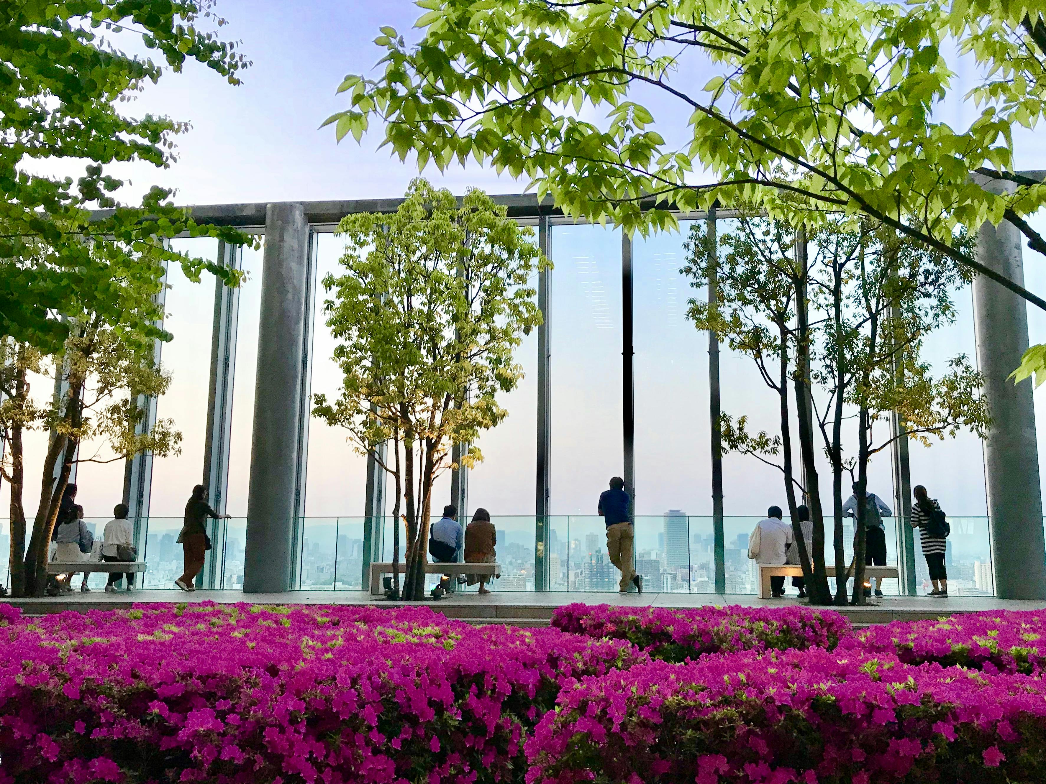 People sit and stand by large glass windows in a modern building, with green trees and pink flowers in the foreground, and a city skyline visible in the background under a clear sky.
