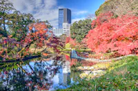 A serene garden with vibrant red and orange autumn trees, a pond reflecting the foliage, a curved bridge, and modern skyscrapers in the background under a partly cloudy sky.