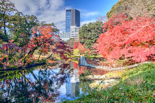 A serene garden with vibrant red and orange autumn trees, a pond reflecting the foliage, a curved bridge, and modern skyscrapers in the background under a partly cloudy sky.