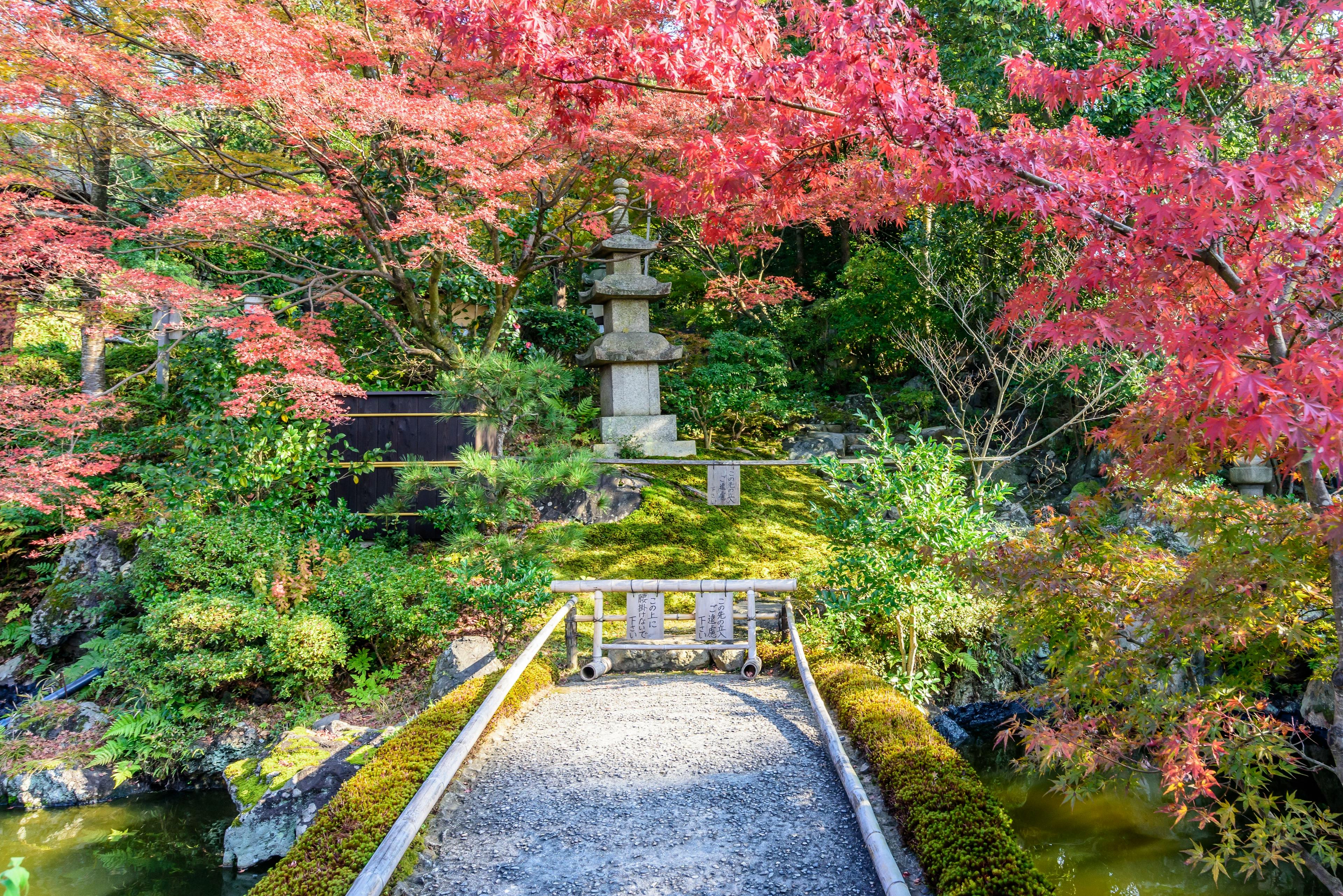 A stone path with a wooden railing crosses a small bridge, leading to a Japanese stone lantern. Surrounding are vibrant red and green maple trees and lush greenery in a tranquil garden setting.