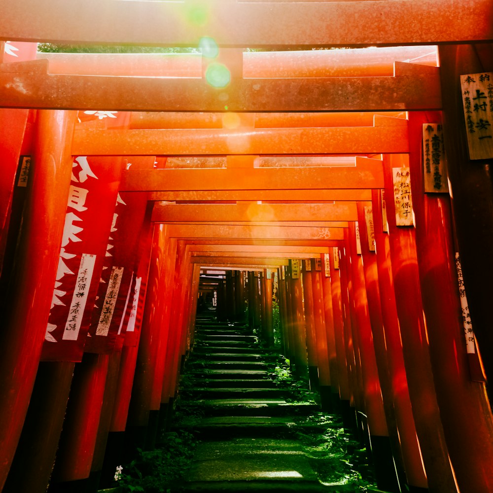 Sasuke Inari Jinja