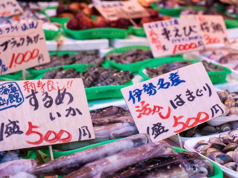 도쿄 탐험: 영어를 구사하는 운전기사와 함께하는 맞춤형 풀 데이 관광