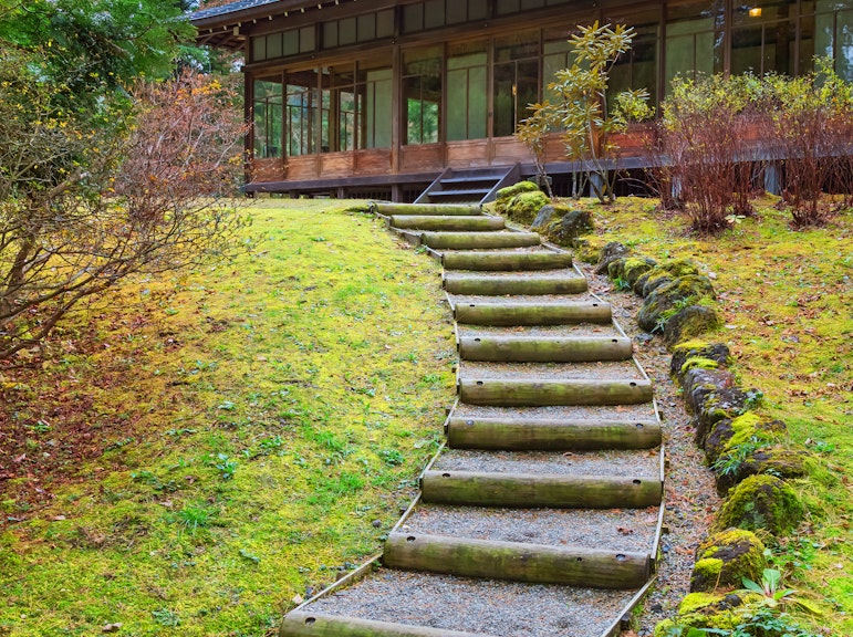 Exploring Nikko's Natural Splendors: A Private Full-Day Tour with English-Speaking Guide