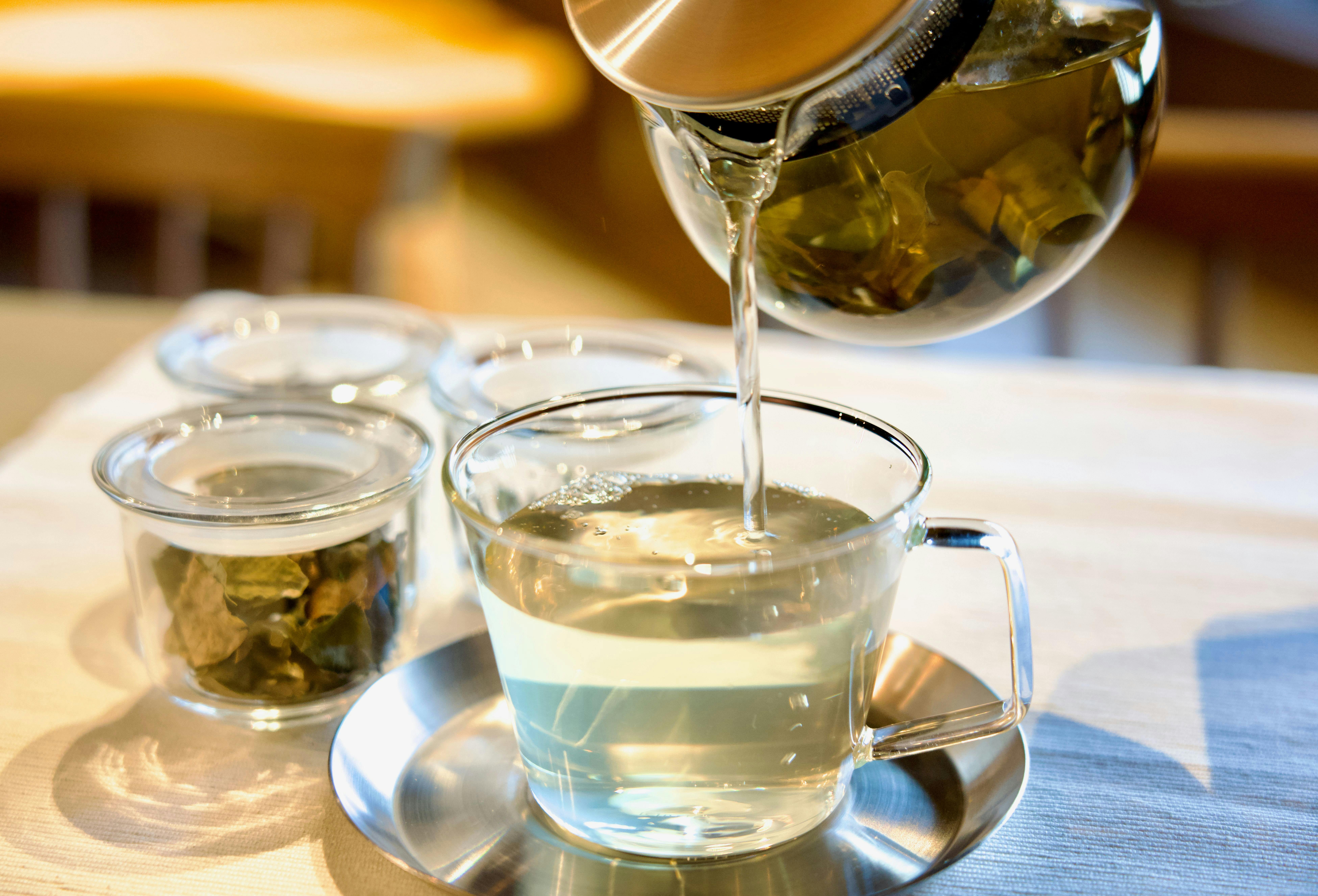 Herb and Fermentation Workshop