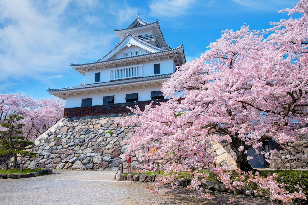 Nagahama Castle