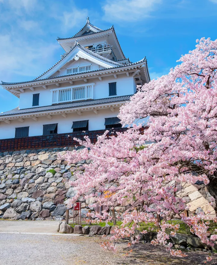 Nagahama Castle Nagahama Castle