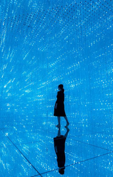 teamLab Planets Tokyo teamLab Planets Tokyo