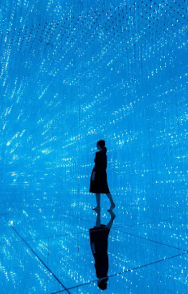 teamLab Planets Tokyo teamLab Planets Tokyo