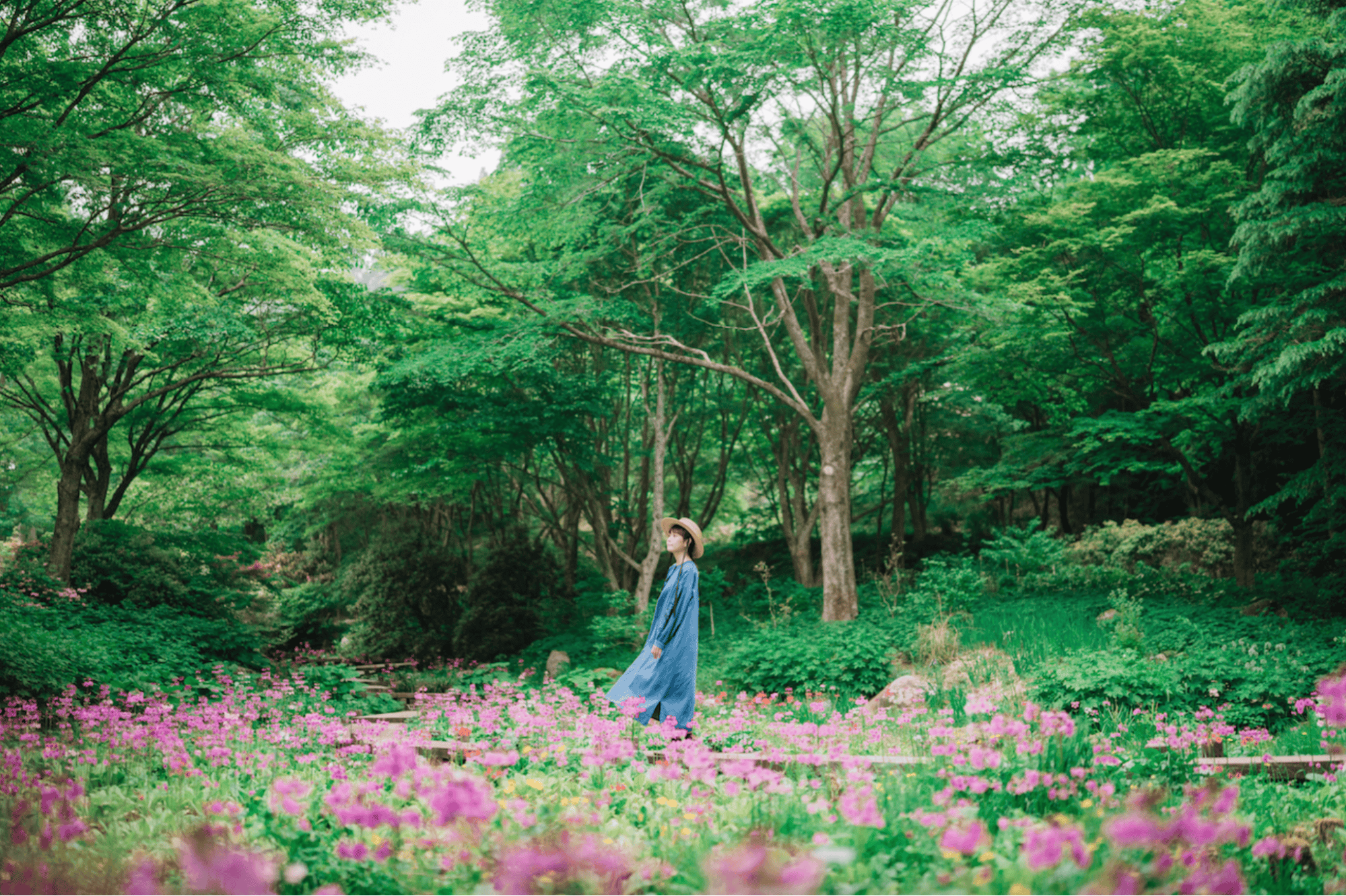 进入壮丽的六光高山植物园