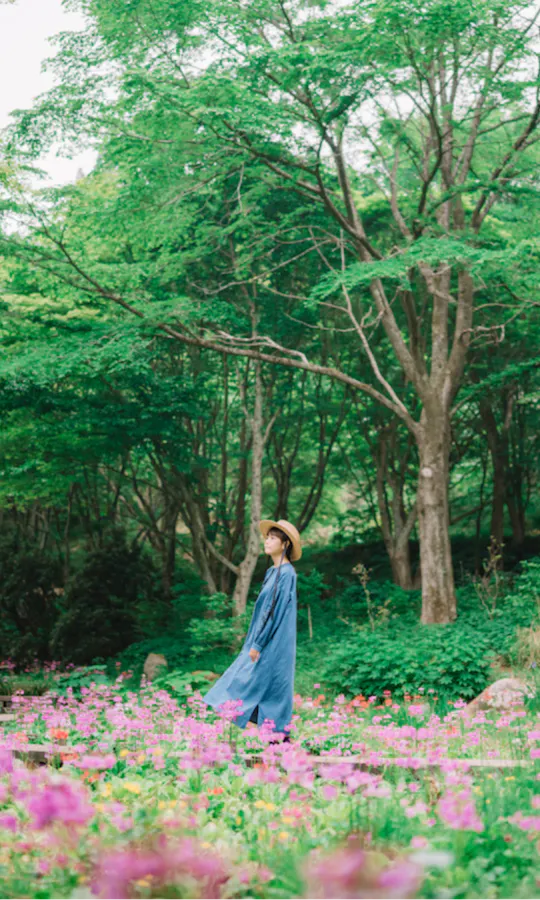 Rokko Alpine Botanical Garden A person in a long blue dress and straw hat walks through a lush garden filled with pink flowers and surrounded by tall green trees.