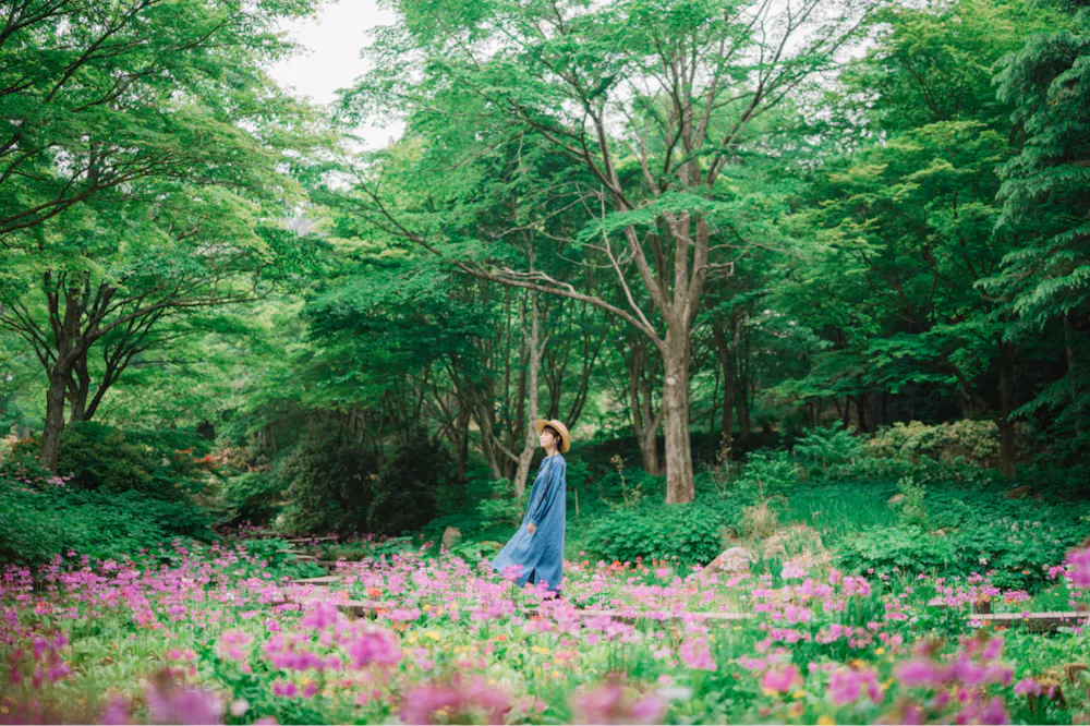 Rokko Alpine Botanical Garden