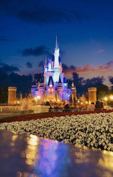 Disneyland Disneyland