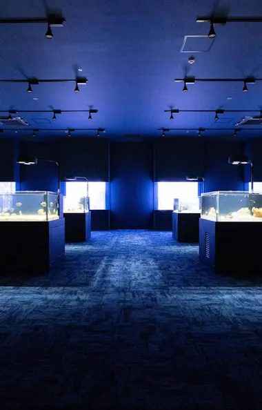 DMM Kariyushi Aquarium DMM Kariyushi Aquarium