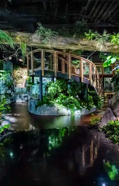 DMM Kariyushi Aquarium DMM Kariyushi Aquarium