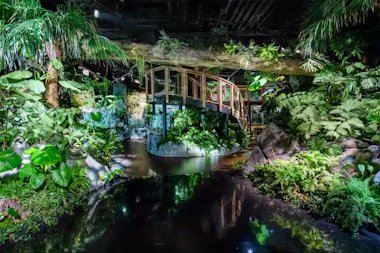 DMM Kariyushi Aquarium