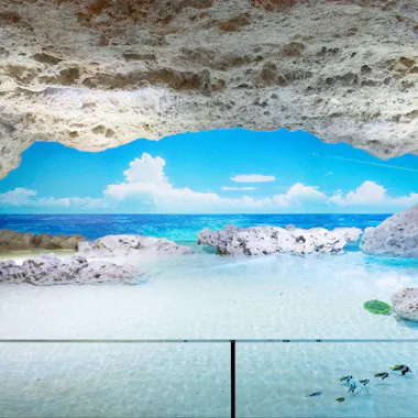 DMM Kariyushi Aquarium DMM Kariyushi Aquarium