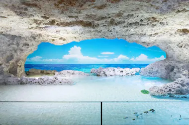 DMM Kariyushi Aquarium