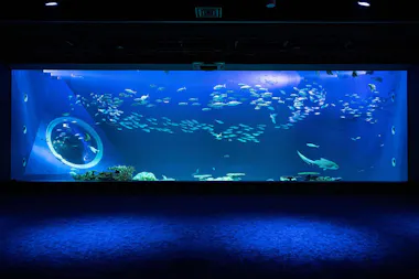 DMM Kariyushi Aquarium
