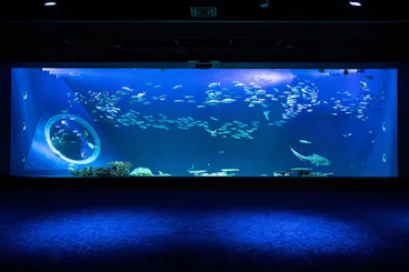 DMM Kariyushi Aquarium