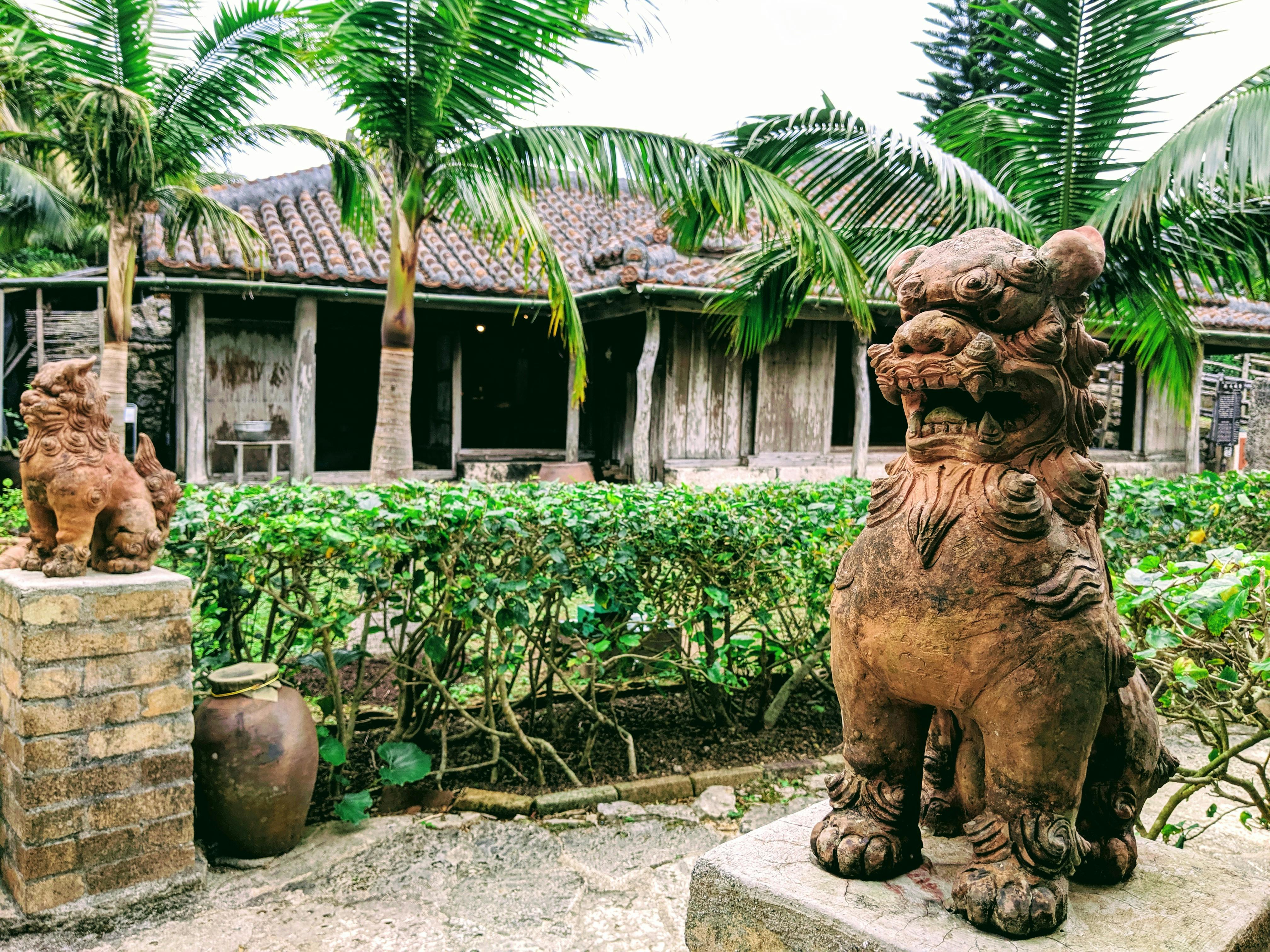 A pair of traditional stone lion statues guard the entrance to an old wooden house with a tiled roof, surrounded by lush green plants and palm trees.