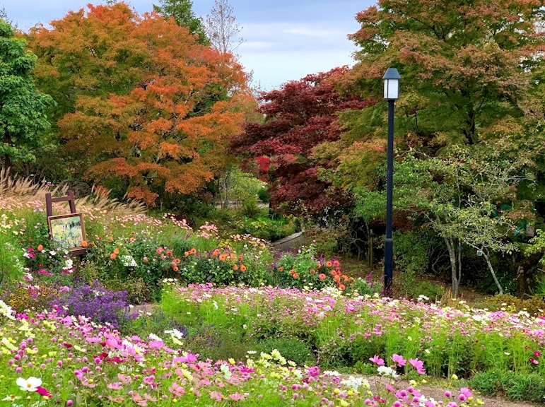 Discover Hiei: Garden Museum Access Pass