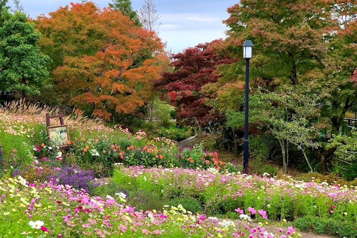 Garden Museum Hiei