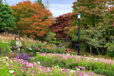 A colorful garden with blooming wildflowers in the foreground, a black lamp post, and trees with green, orange, and red autumn foliage under a cloudy sky. A small sign is visible to the left.