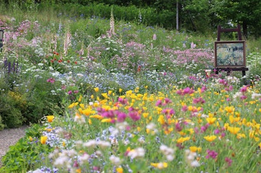Garden Museum Hiei
