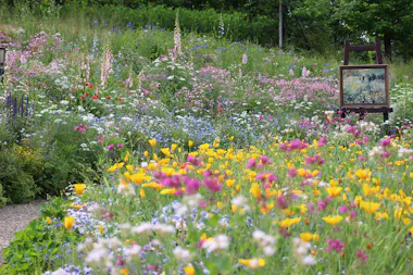 A vibrant wildflower meadow with yellow, pink, purple, and white flowers. In the background, an easel displays a painting that blends into the scenic landscape. Lush green trees border the area.