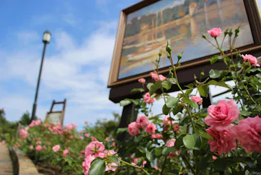 Pink roses bloom in the foreground near a walkway. Behind them, a framed painting on a stand is displayed outdoors, with a blue sky and clouds in the background. A lamp post is visible on the left.
