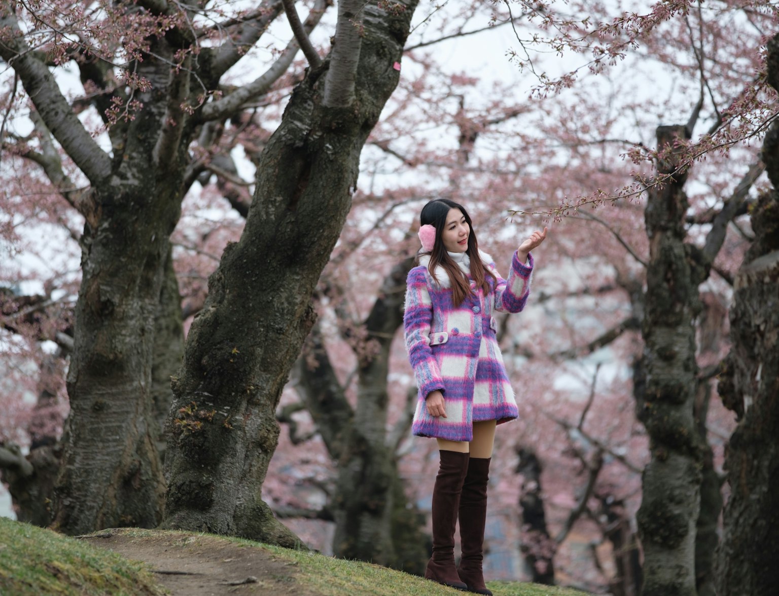 Hakodate Hakodate