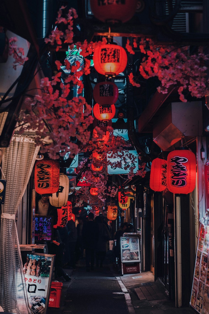 Omoide Yokocho