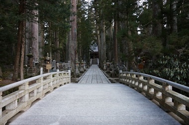 Koyasan Tour