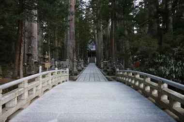 A stone bridge leads to a pathway surrounded by tall trees and traditional stone lanterns in a serene, forested Japanese temple setting.