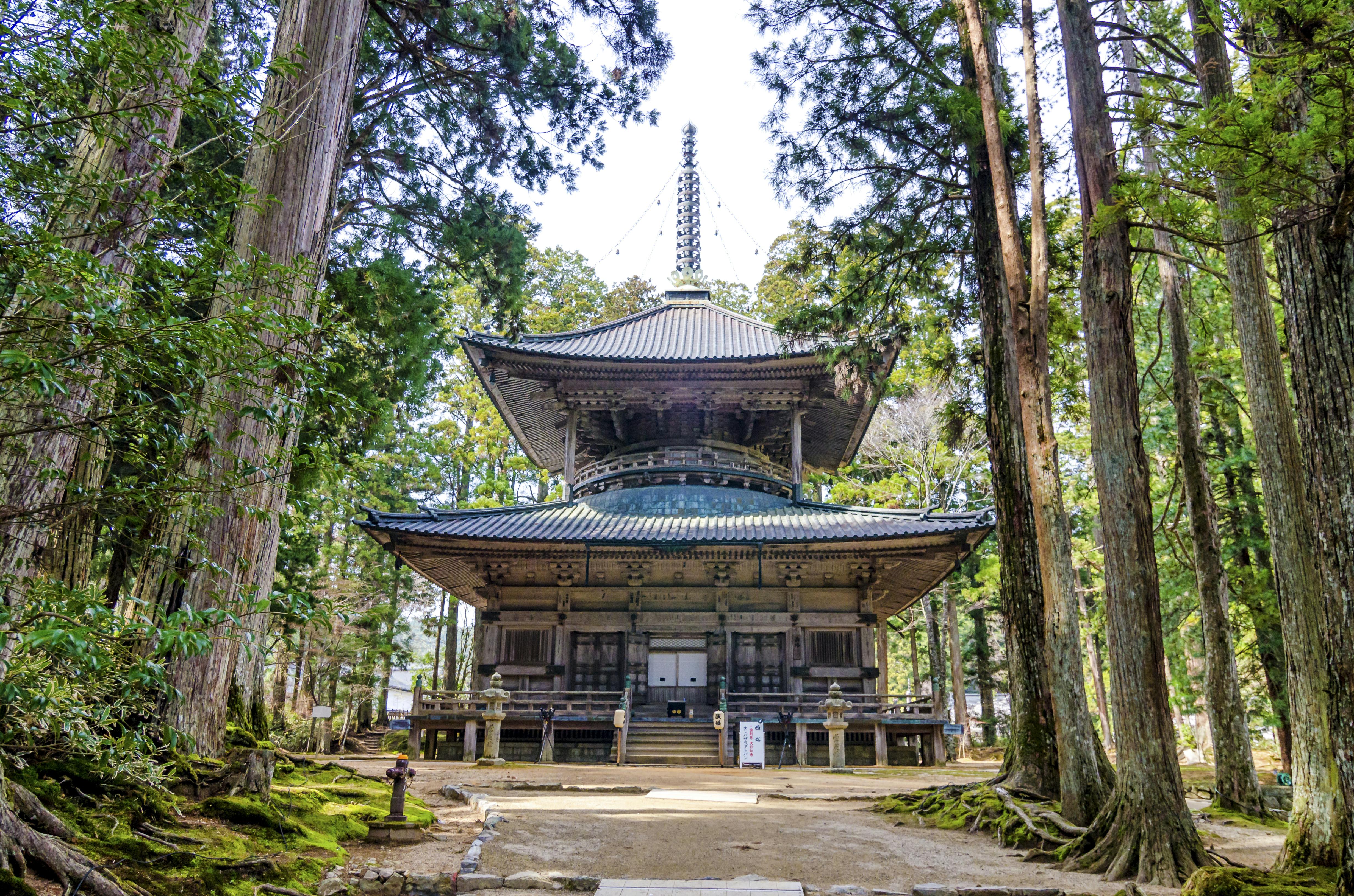 1-Day World Heritage Site - Mt. Koya Tour (Without Guide) - Trip