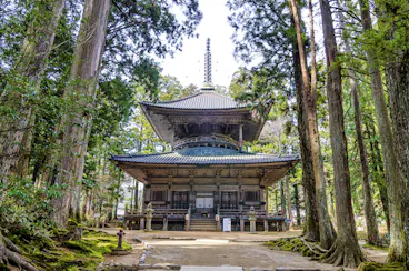 A traditional Japanese wooden temple stands surrounded by tall trees in a peaceful forest, with moss-covered ground and sunlight filtering through the branches.