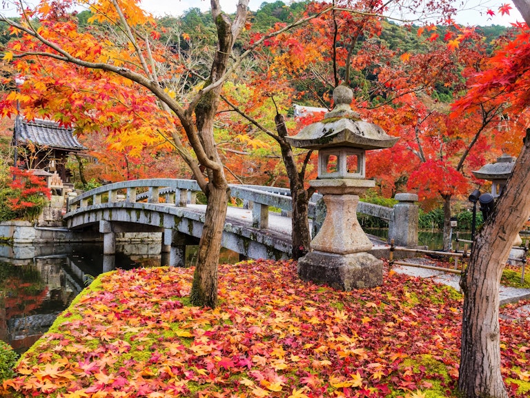 Kyoto - Trip To Japan