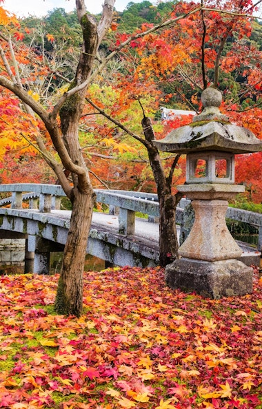 Eikando Zenrin-ji - Trip To Japan