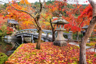 A Japanese garden in autumn with vibrant red and orange maple leaves, a stone lantern, a curved stone bridge over water, and a small traditional structure surrounded by colorful trees.