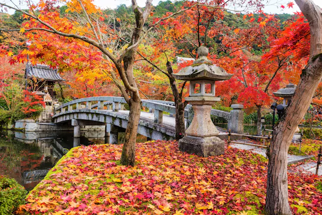 A Japanese garden in autumn with vibrant red and orange maple leaves, a stone lantern, a curved stone bridge over water, and a small traditional structure surrounded by colorful trees.